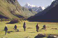 Andesbjergene