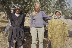 Olivenplukkere på Vestbredden